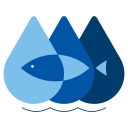 冷魚